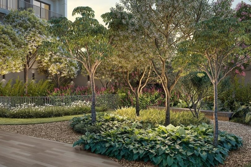 CHRONOS PINHEIROS - PRAÇA PET